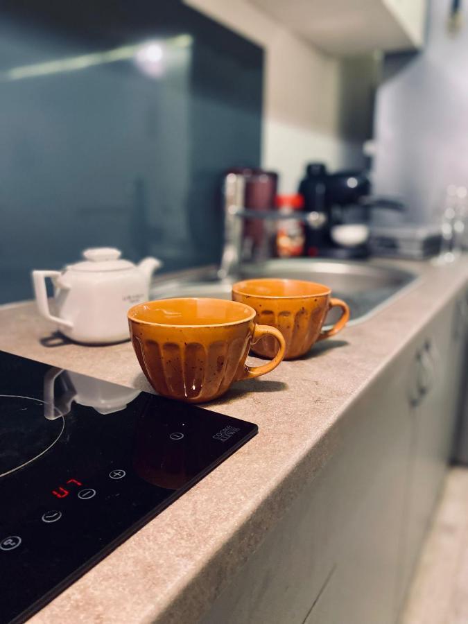 Central Cluj Loft 아파트 외부 사진