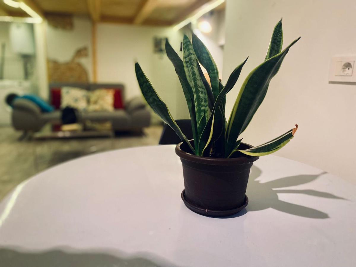 Central Cluj Loft 아파트 외부 사진